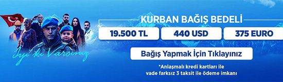 Mehmetcik Bağış